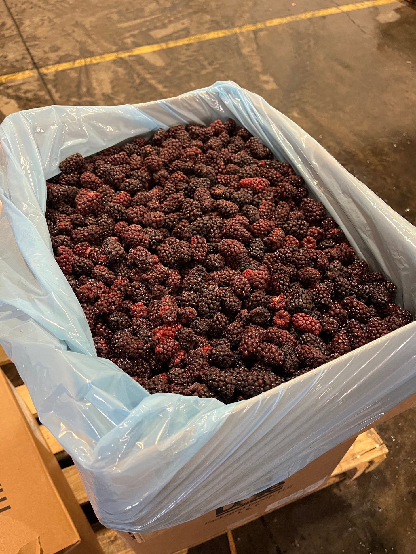 Frozen Marionberries