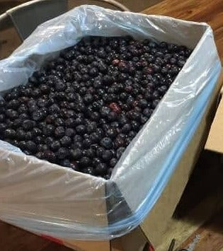 Blueberries come individually frozen in a plastic bag, nestled inside a cardboard box.
